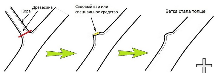 Правильная линия среза