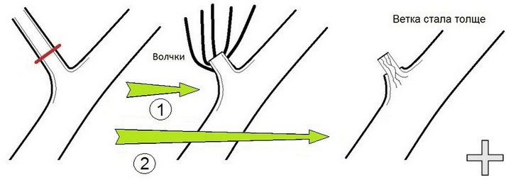 Не правильная линия срезаи и результат такой ошибки